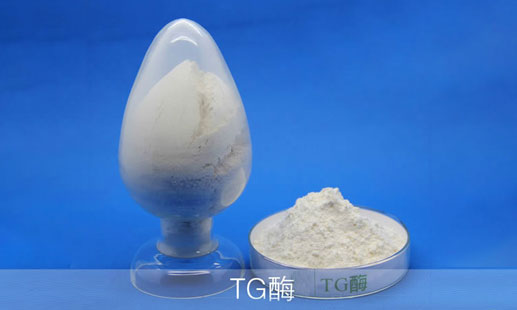 TG酶-產(chǎn)品圖