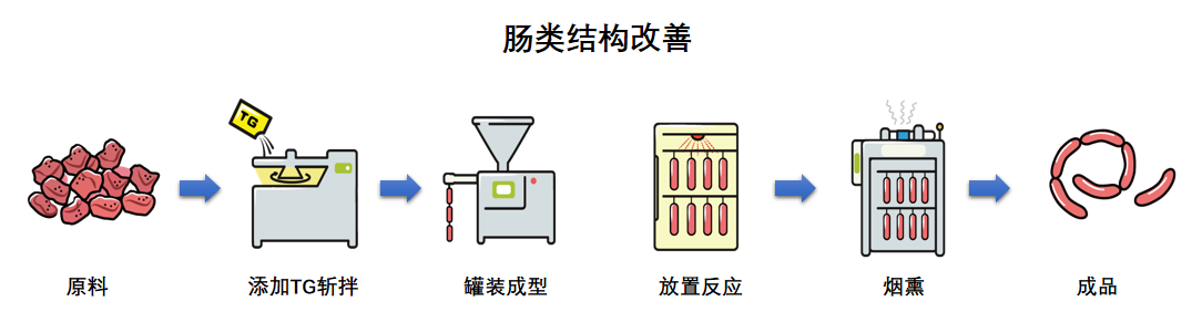 腸類(lèi)結(jié)構(gòu)改善