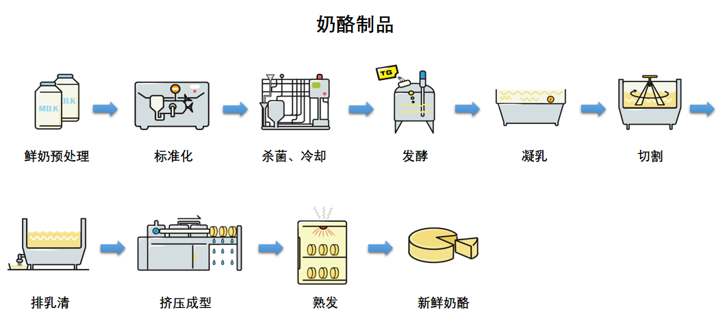 奶酪生產(chǎn)流程圖