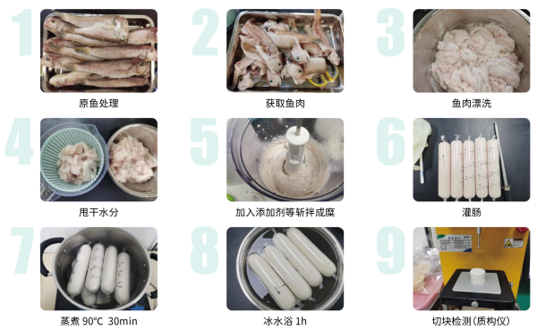 魚糜實驗流程圖.png