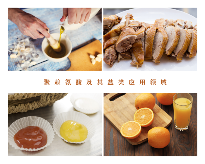 聚賴氨酸應(yīng)用領(lǐng)域.png